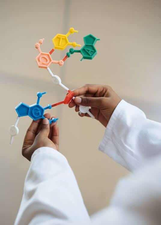 person holding a plastic molecular structure